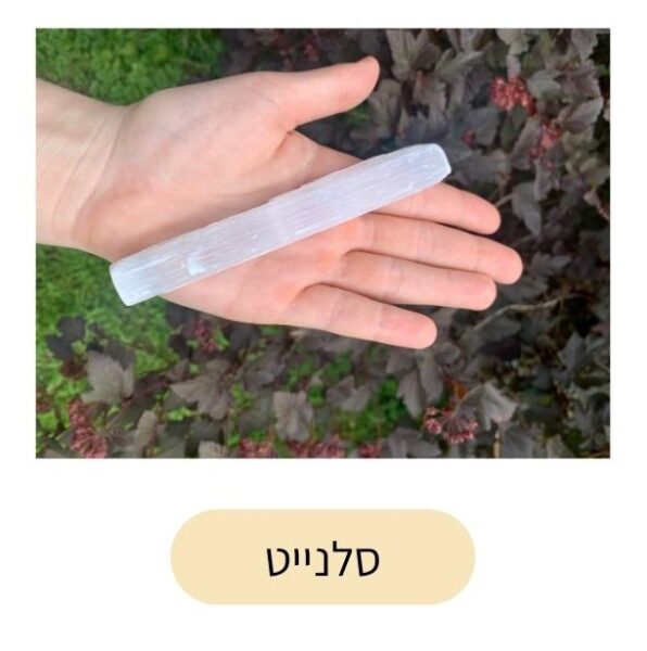 אינסטגרם – פוסטים – 1